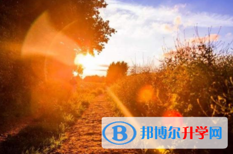 巴中2022年中考报名