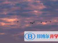巴中2022年中考报名服务平台