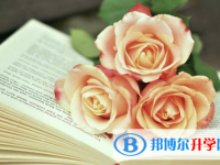 巴中2022年中考各科高频考点