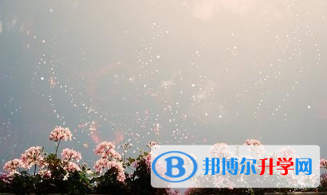 巴中2022年中考考试说明