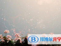巴中2022年中考考试说明