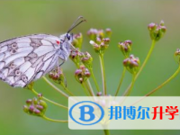 巴中2022年中考期间的饮食