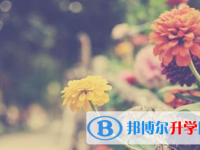 巴中2022年中考升学率