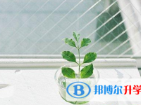 巴中2022年中考顺序