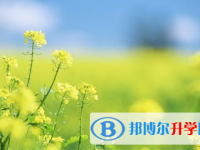 巴中2022年中考体考标准