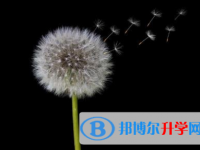 巴中2022年中考推荐生自荐信
