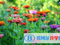 巴中2022年中考应对策略
