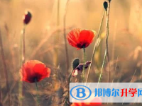 巴中2022年中考重点复习