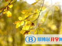 巴中2022年中考准考证