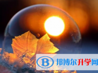 巴中2022年中考自主招生情况
