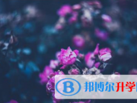 巴中2022年中考招生学校