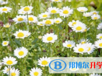 巴中2022年中考准考证丢了怎么办