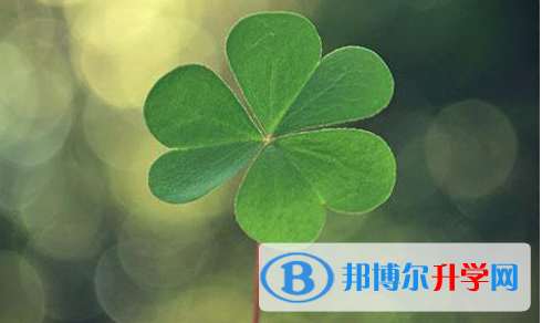 巴中2022年中考如果未被录取怎么办