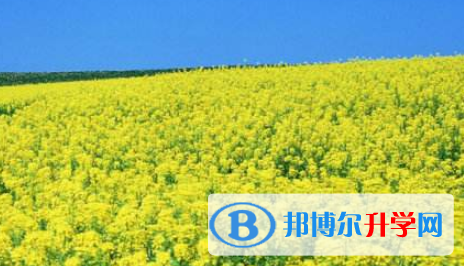 巴中2022年中考没考好可以复读吗