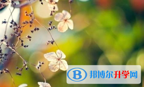 巴中2022年中考没考好怎么办