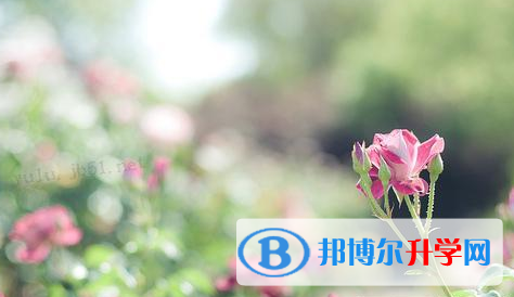 巴中2022年中考落榜了怎么办