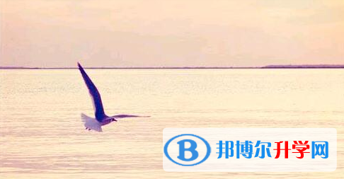 巴中2022年中考考试要带什么