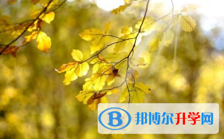 巴中2022年中考紧张怎么办