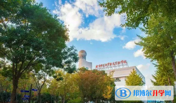北京师范大学亚太实验学校国际部2023年学费标准