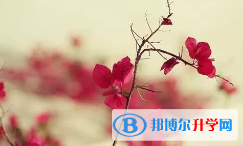 巴中2022年怎样中考正常发挥