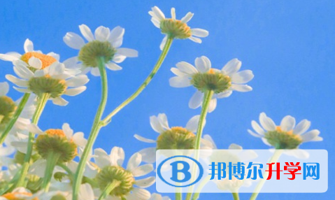 巴中2022年如果中考没考上读什么好