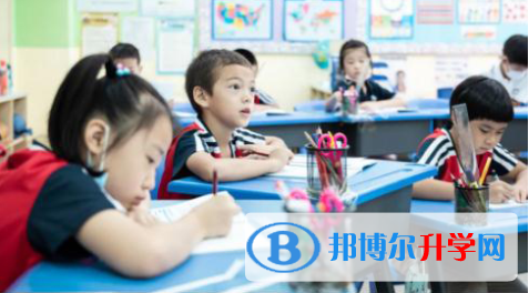 深圳曦城协同国际学校2022年招生政策