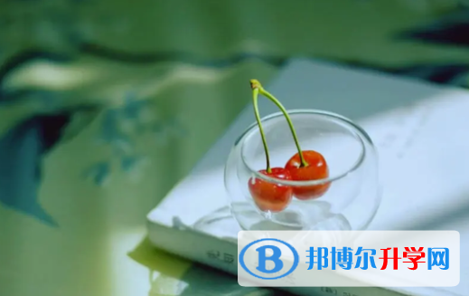 阿坝2022年中考成绩如何查询