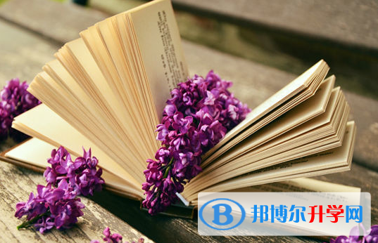 阿坝2022年填中考志愿
