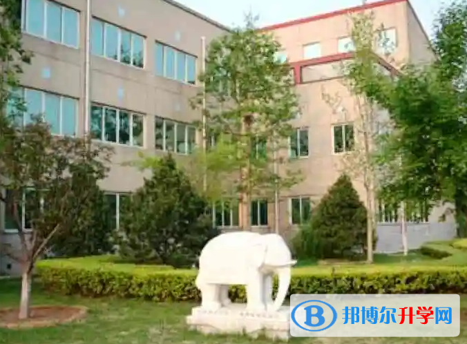 北京师达中学国际班2023年入学条件