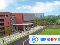 电子科技大学实验中学网站网址主页