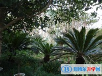 达州市新世纪学校2025年招生办联系电话
