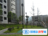 成都市金牛中学校2025年招生代码