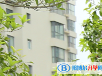 达州市新世纪学校2025年排名