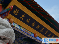 北大附中成都实验学校地址在哪里