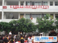 成都市青白江区福洪中学2025年招生代码