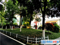 四川省崇州市蜀城中学2025年招生代码