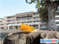 成都市城厢中学校2025年排名