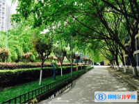 成都七中实验学校(初中部)2025年排名
