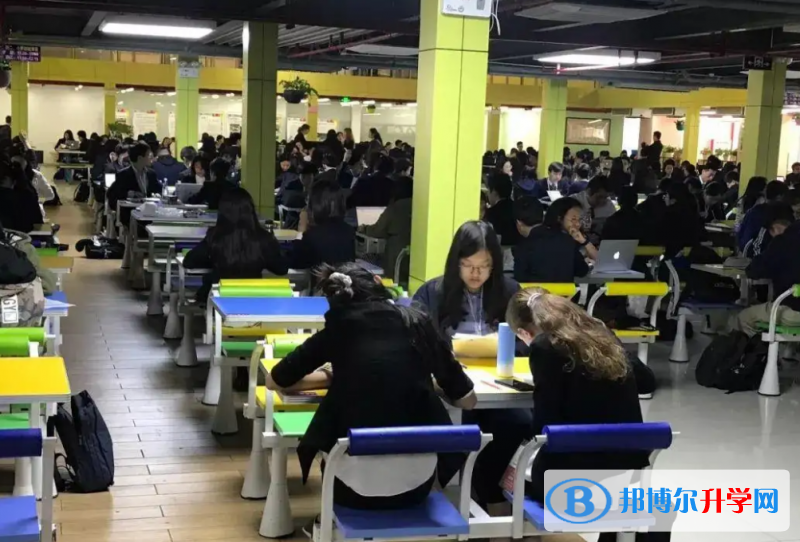  上海金苹果双语学校2023年录取分数线