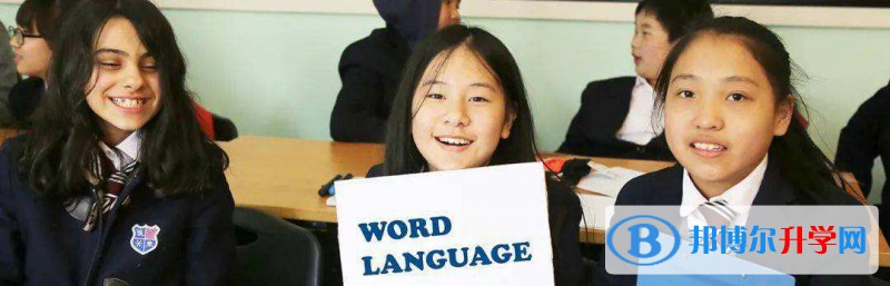 上海美高双语学校2023年招生政策