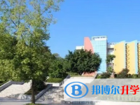 凤庆县鲁史中学2023年招生录取分数线