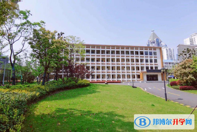 上海洋泾中学国际部2023年课程体系