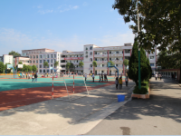 重庆西藏中学2025年排名