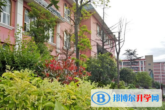 绥江县第一中学2022年招生计划