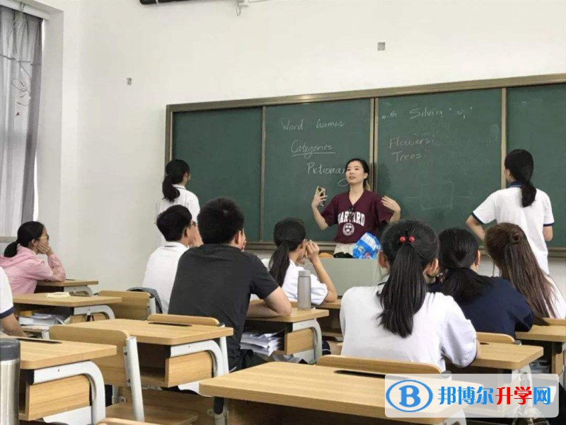 上海常青中学国际部2023年招生政策