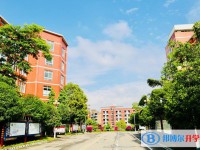 楚雄紫溪中学2025年排名