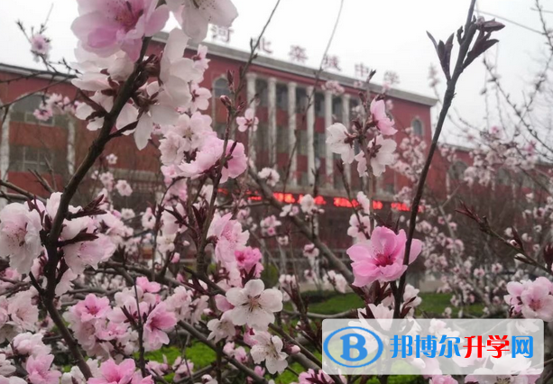 河北栾城中学2023年招生计划