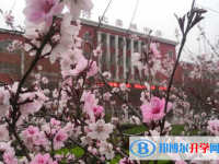 河北栾城中学2024年招生计划