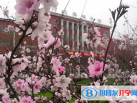 河北栾城中学2025年招生计划