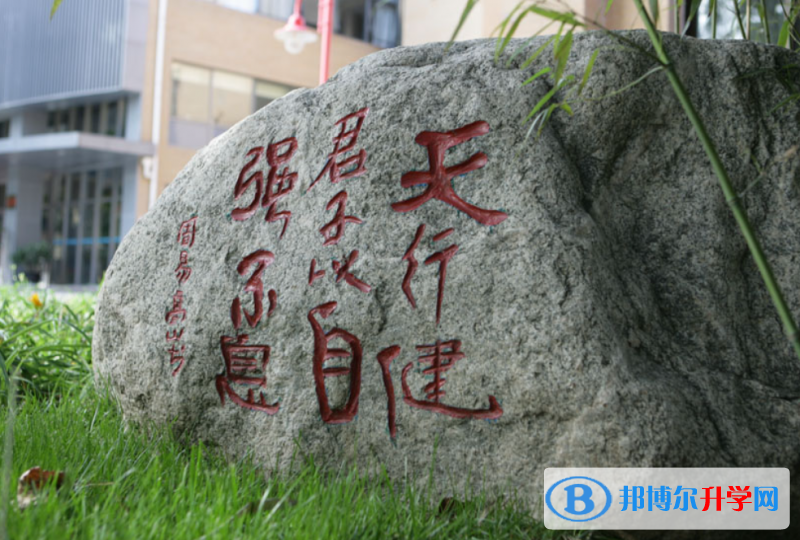 首都师范大学附属中学2023年招生录取分数线